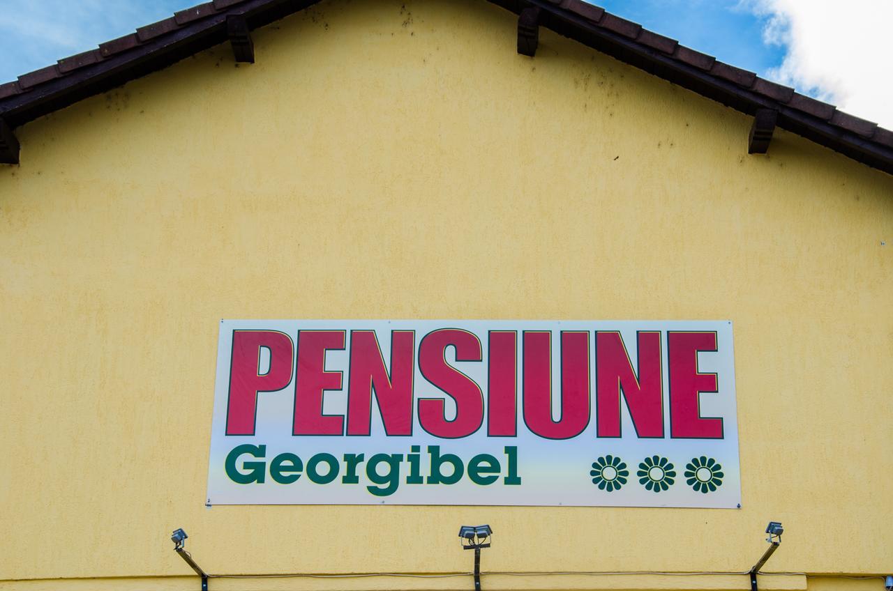 Pensiunea Georgibel Deva Luaran gambar